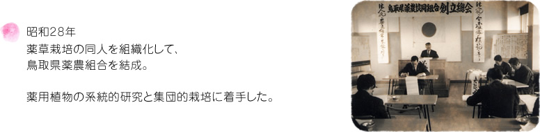 昭和28年 薬草栽培の同人を組織化して、鳥取県薬農組合を結成。薬用植物の系統的研究と集団的栽培に着手した。