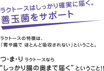 ラクトースはしっかり確実に届く。善玉菌をサポート