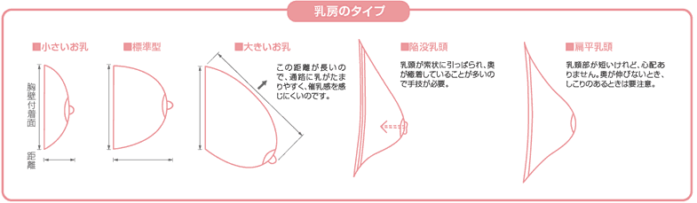 乳房のタイプ