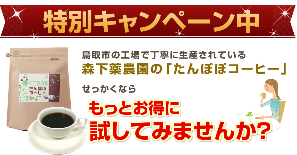 特別キャンペーン中！もっとお得に試してみませんか？