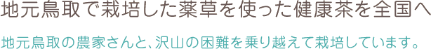 地元鳥取で栽培した薬草を使った健康茶を全国へ	地元鳥取の農家さんと、沢山の困難を乗り越えて栽培しています。